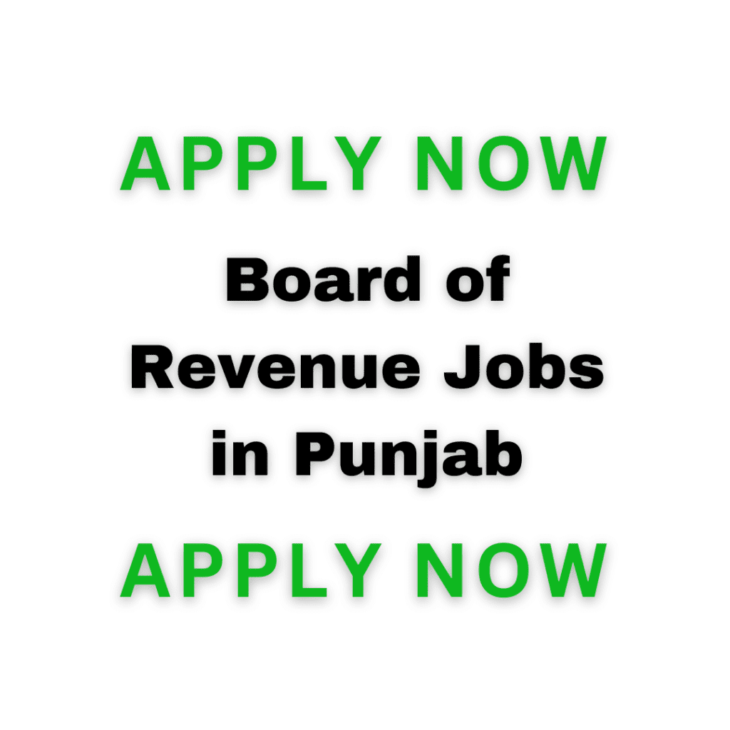 Board Of Revenue Jobs In Punjab 2024