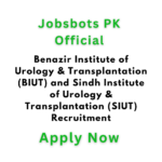 Benazir Institute Of Urology &Amp; Transplantation (Biut) And Sindh Institute Of Urology &Amp; Transplantation (Siut) Recruitment