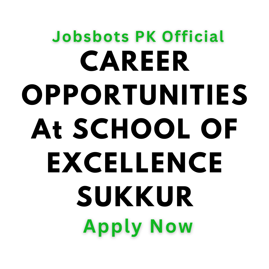 Career Opportunities At School Of Excellence Sukkur