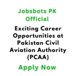 Exciting Career Opportunities At Pakistan Civil Aviation Authority (Pcaa)