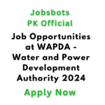 Job Opportunities At Wapda 2024 Sindh, Job Opportunities At Wapda 2024 Online Apply, Job Opportunities At Wapda 2024 Last Date, Job Opportunities At Wapda 2024 Karachi, Wapda Jobs 2024 Apply Online, Wapda Jobs 2024 Sindh, Wapda Jobs 2024 Last Date, Wapda Jobs 2024 For Female