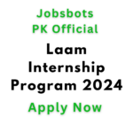 Laam Internship Program 2024