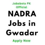 Nadra Jobs In Gwadar