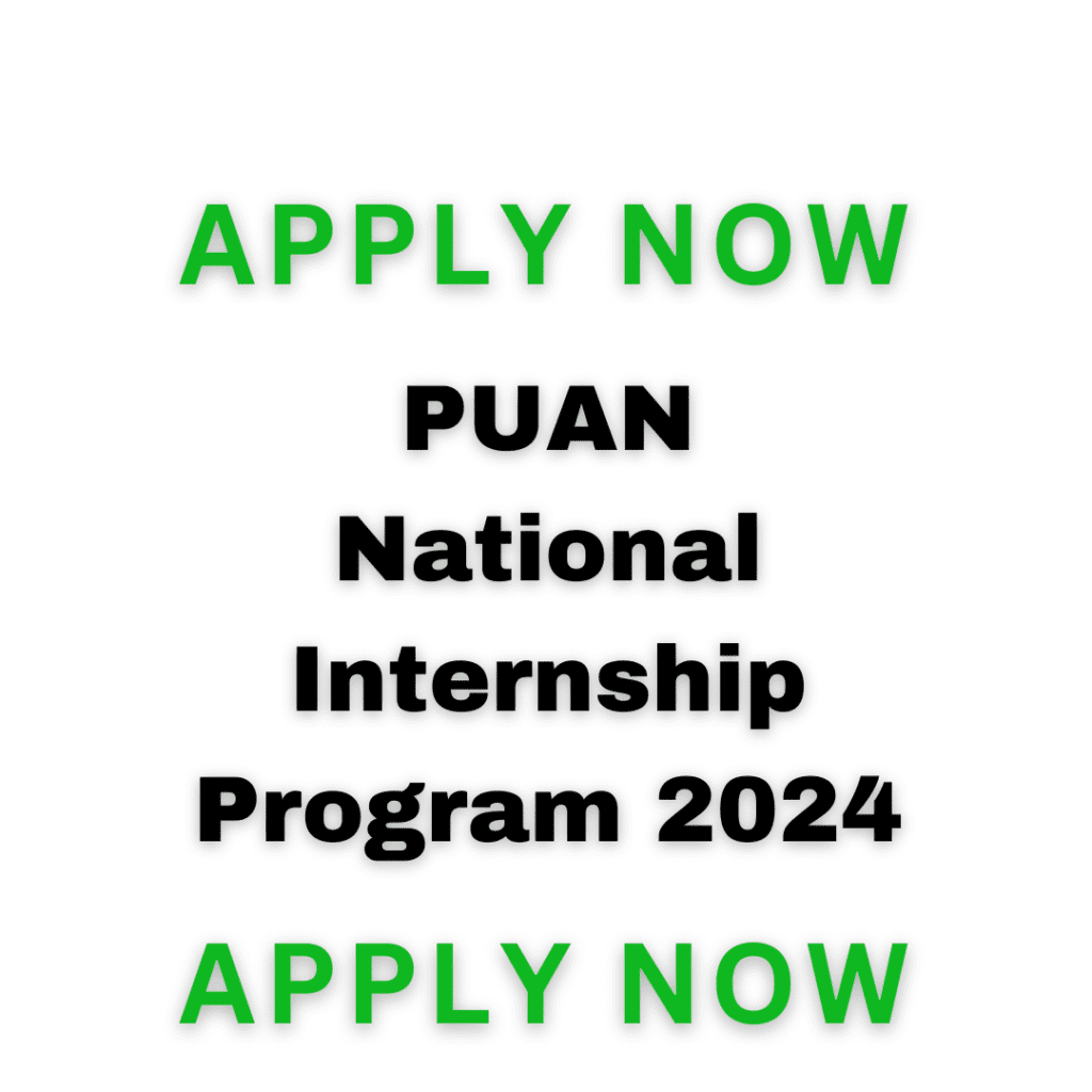 Puan National Internship Program 2024