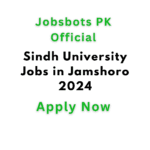 Sindh University Jobs In Jamshoro 2024
