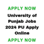 University Of Punjab Jobs 2024 Pu Apply Online