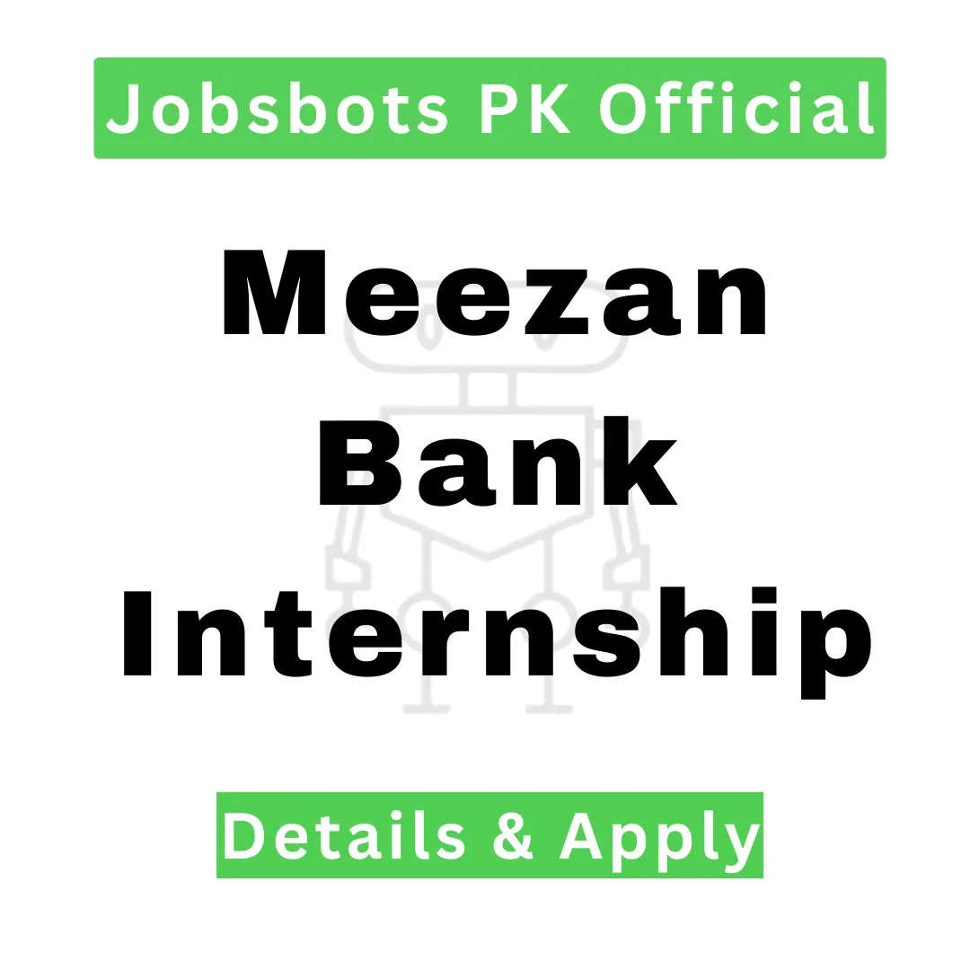 Meezan Bank Internship