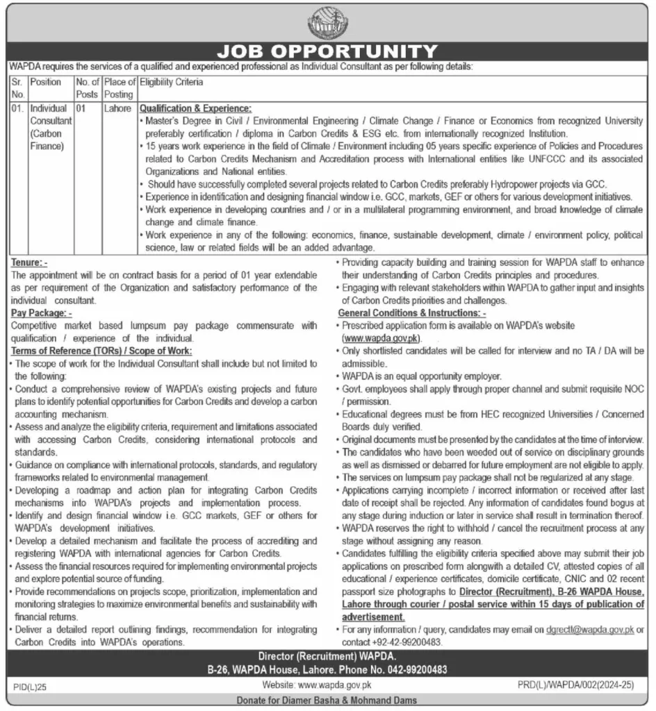 Job Opportunity For Individual Consultant Wapda Jobs Lahore